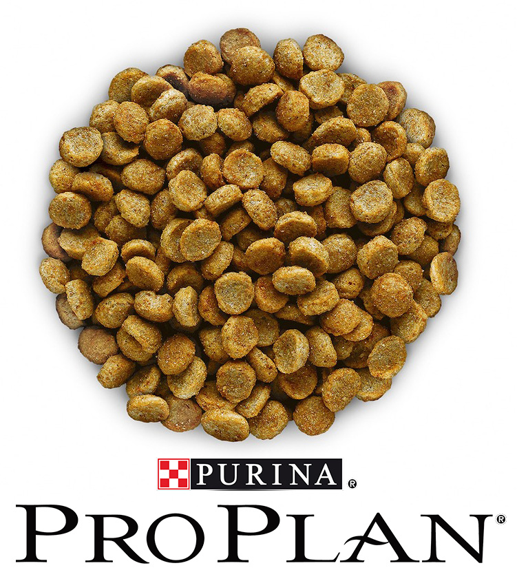 Корм для кошек РАЗВЕСНОЙ Purina Pro Plan Adult с лососем 1 кг