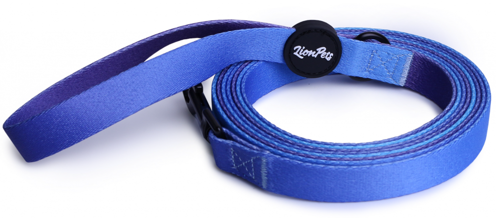 Поводок для собак LionPets с рисунком из полиэстера LP-700-6 (XL-Ширина 2.5 см, длина 3 метра)