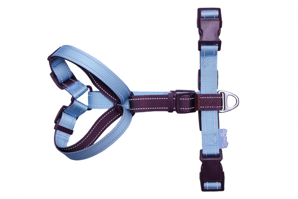 Шлейка анатомическая LionPets LP26-1 (Размер S Спинка 8-12 см, грудь 46-60 см, шея 38-58 см, стропа 2.0 см)