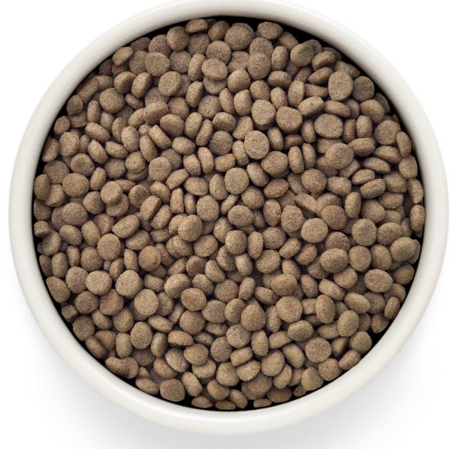 Корм Grandorf VET DERMATOSIS предназначенный для поддержания защитных функций кожи при дерматозах и чрезмерном выпадении шерсти для кошекn