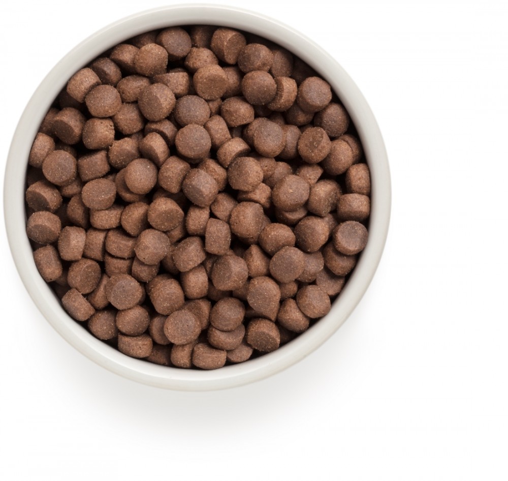 Сухой корм Grandorf Lamb & Turkey Adult Medium & Maxi для собак средних и крупных пород (низкое содержание зерна), ягненок с индейкой