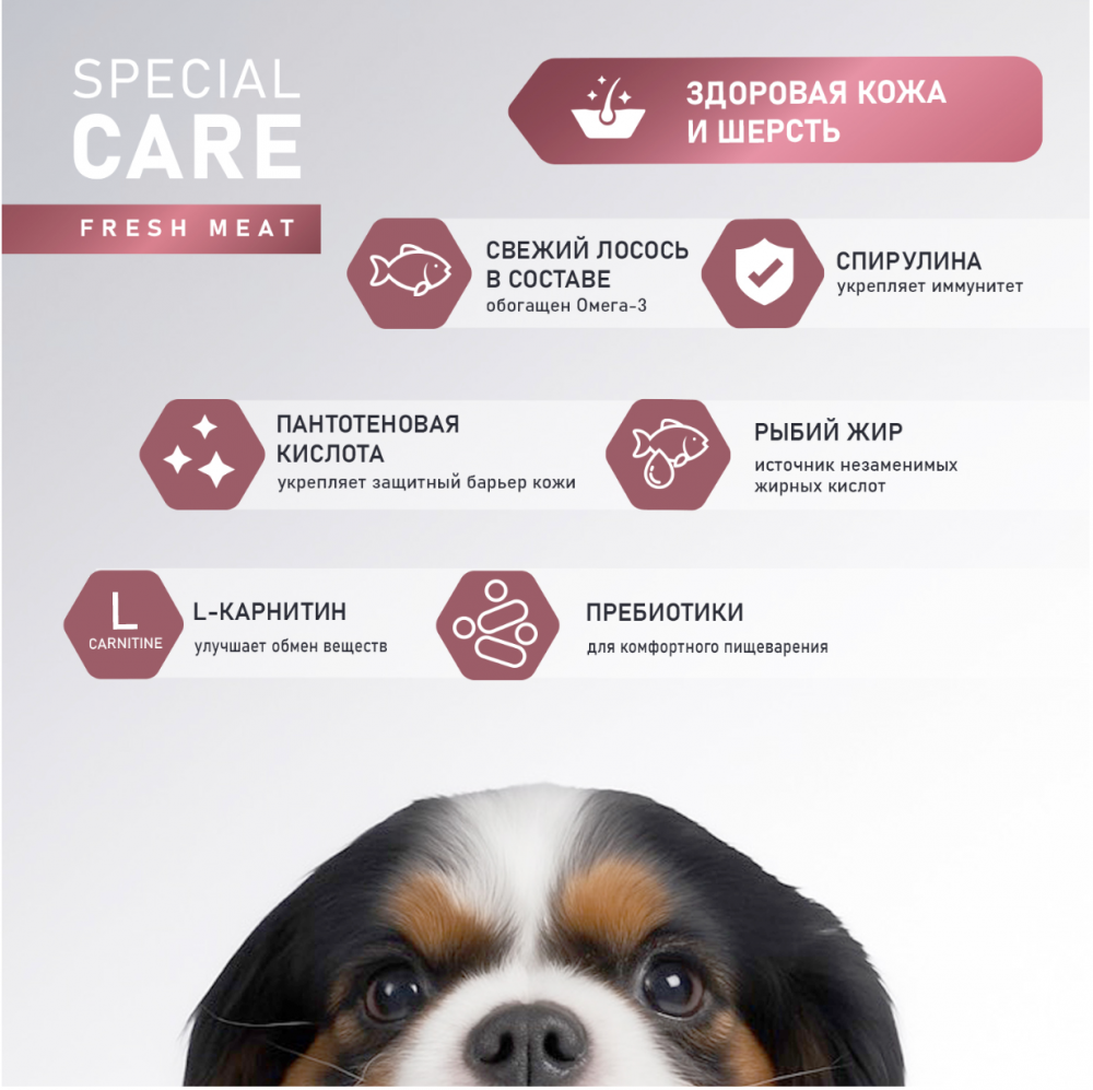 Сухой корм AWARD SPECIAL CARE Sensitive Skin&Coat для взрослых собак всех пород для здоровой кожи и шерсти со свежим лососем