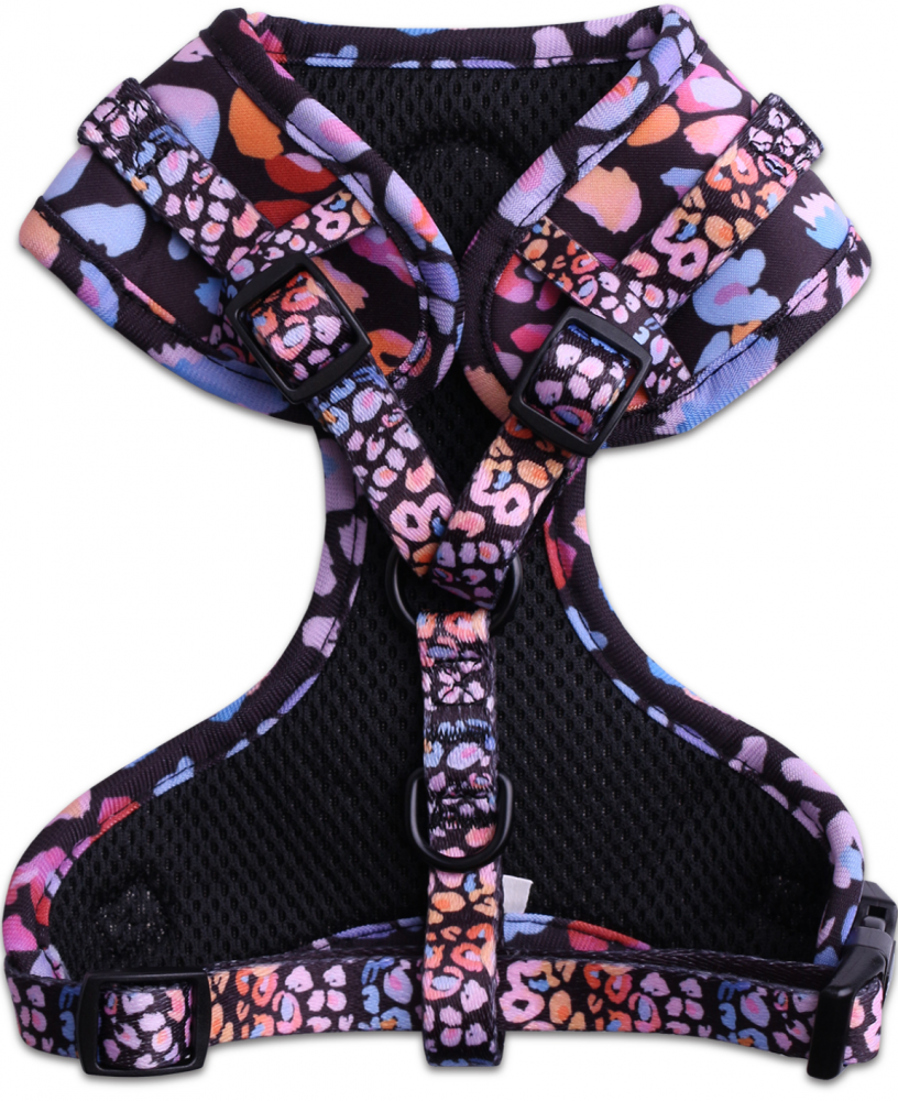 Шлейка LionPets LP-2401-1 (Размер XS обхват груди 34-48 см, шея 29-36 см)n