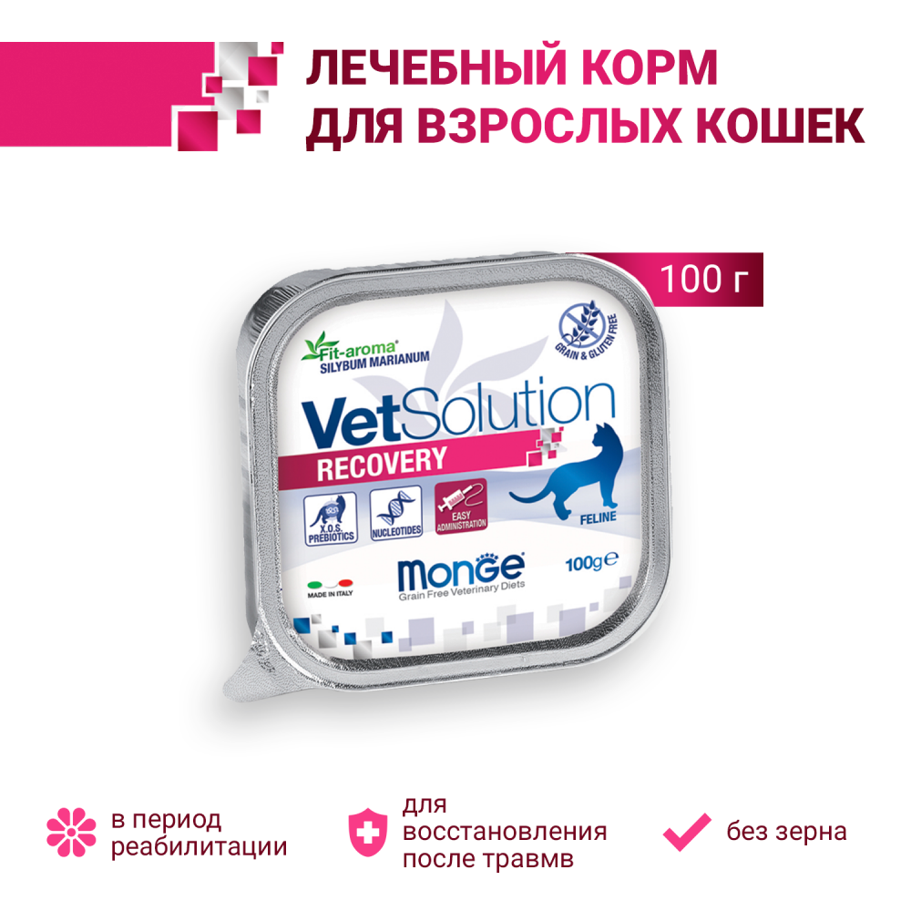 Диетический корм Monge VetSolution Cat Recovery Рекавери для кошек при восстановлении питания в период выздоровления 100 г