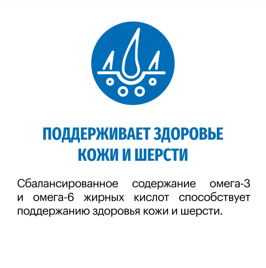 Корм Karmy MAXI ADULT - Индейка. Корм для взрослых собак крупных пород