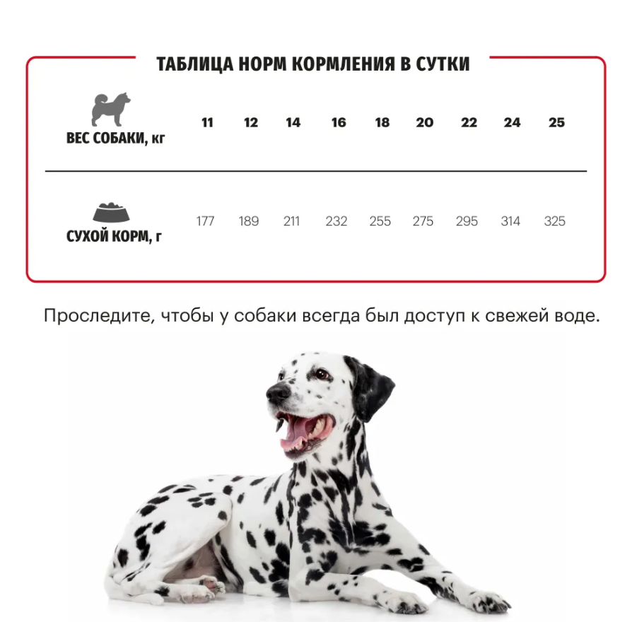 Корм Karmy MEDIUM ADULT -Телятина. Корм для взрослых собак средних пород