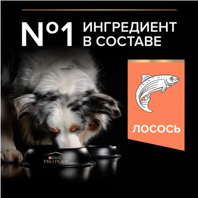 Корм PRO PLAN для собак средних пород с чувствительной кожей с комплексом Optiderma лосось c рисом