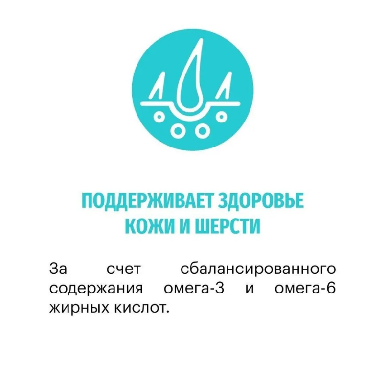 Корм Karmy HYPOALLERGENIC MEDIUM&MAXI для склонных к пищевой аллергии - ягненок