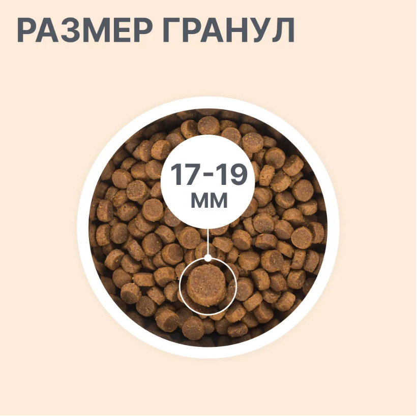 Корм BOWL WOW для собак крупных пород с индейкой, курицей, рисом и тыквой