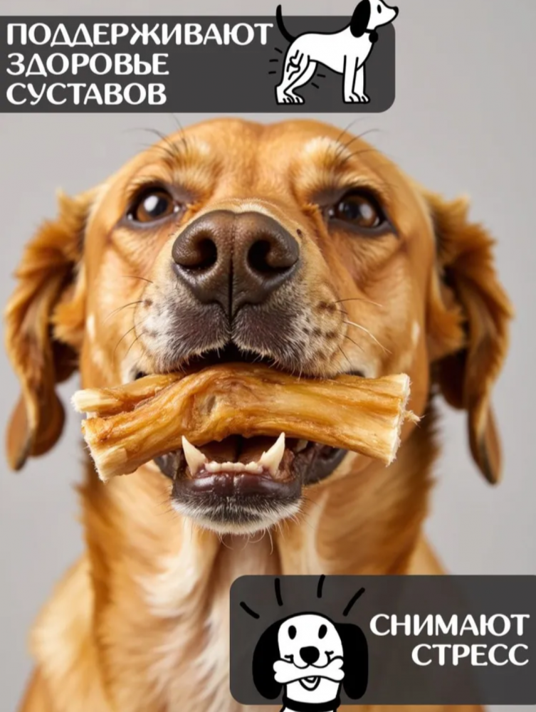 Лакомства For Rodent Dog конское сухожилие 10nсм 100 г для собак
