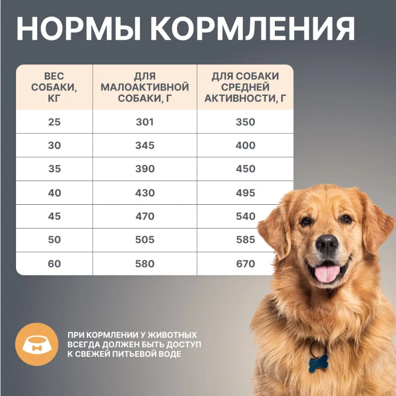 Корм BOWL WOW для собак крупных пород с индейкой, курицей, рисом и тыквой