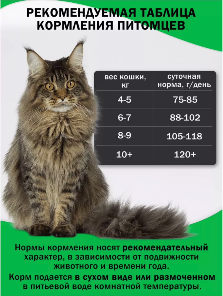 Корм Зооринг АДУЛЬТ УТКА с шиповником для кошек