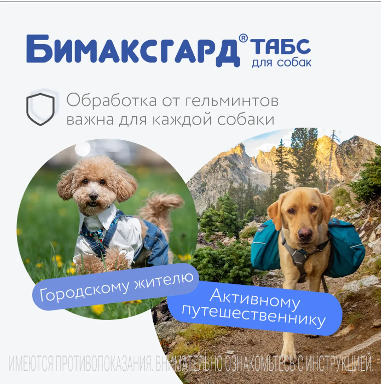 Бимаксгард® ТАБС для крупных собак, 2 таб